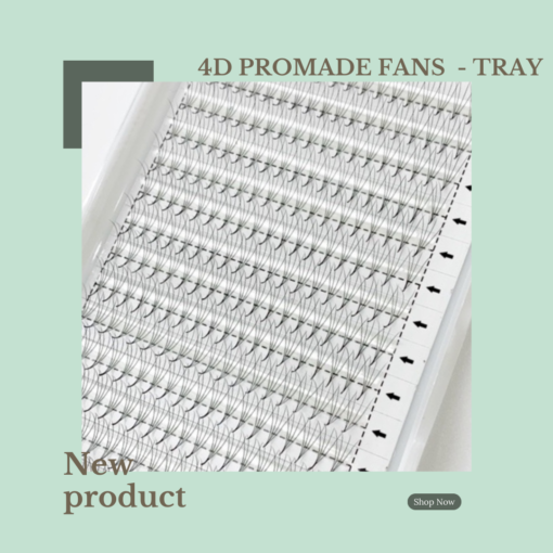 300 - 310 FANS 4D PROMADE FANS (TRAY)