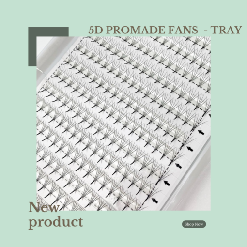 250 - 260 FANS  5D PROMADE FANS (TRAY)